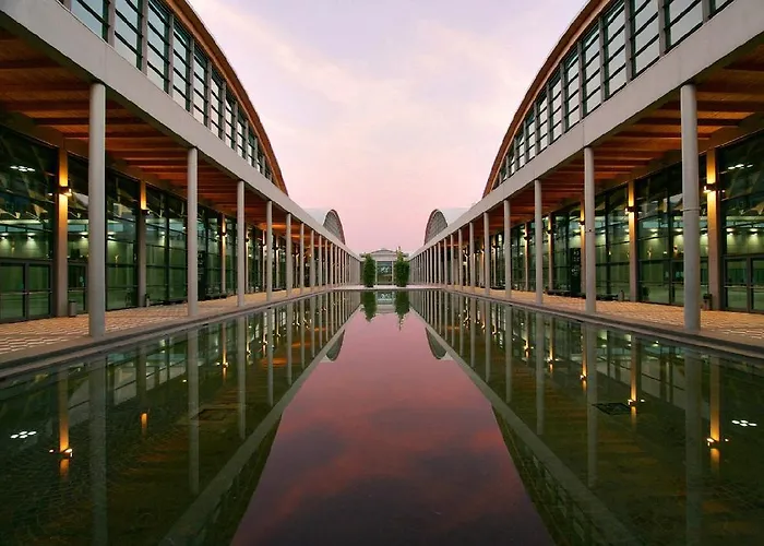 Soardi For Business & Funny Rimini