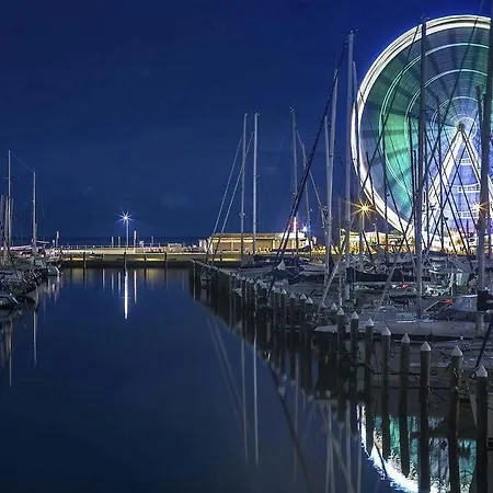 Soardi For Business & Funny