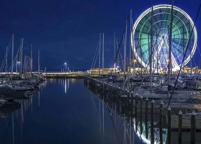 Soardi For Business & Funny